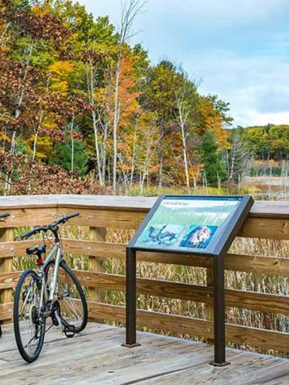 out of home advertising bear dunes